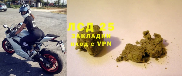 крисы Кодинск