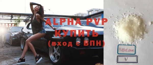 крисы Кодинск
