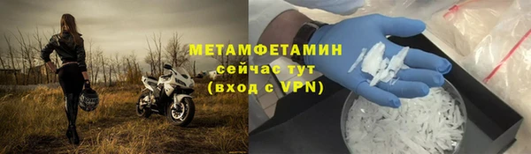 крисы Козловка