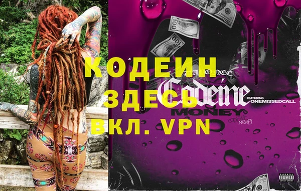 крисы Кодинск