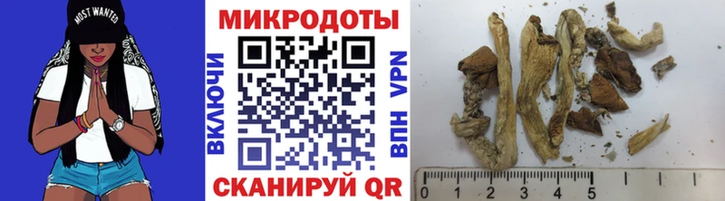 OMG рабочий сайт  как найти закладки  Карталы  Галлюциногенные грибы мухоморы 